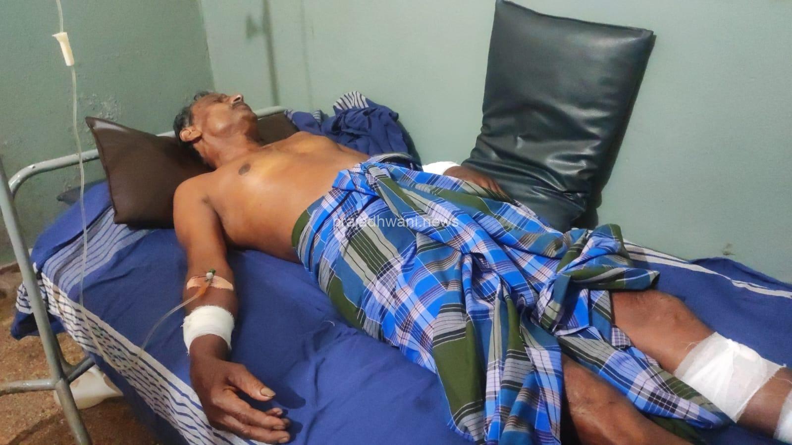 ಪುತ್ತೂರು # ಕಾಡು ಹಂದಿ ದಾಳಿ # ಗಂಭೀರ ಗಾಯ.