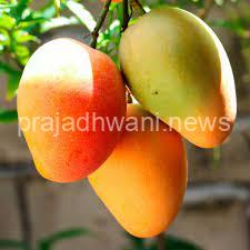 ಗ್ರಾಹಕರ ಕೈಸುಡುತ್ತಿದೆ ಮಾವಿಗೆ ಸೇಬಿನ ರೇಟು