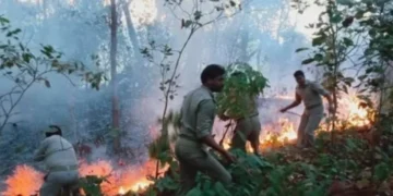 ಅರಣ್ಯ ಪ್ರದೇಶದಲ್ಲಿ ಭಾರೀ ಬೆಂಕಿ ಅವಘಡ; ಸುಟ್ಟು ಕರಕಲಾದ ಗಿಡ ಮರಗಳು