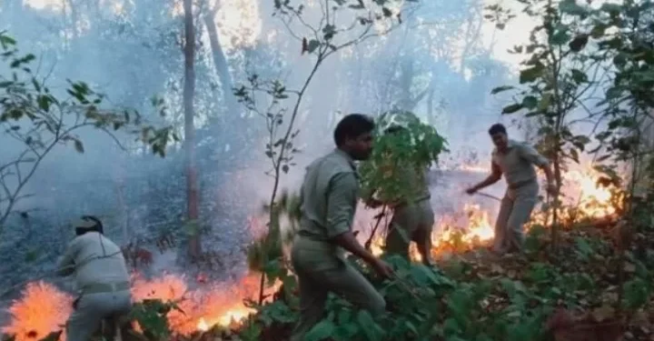 ಅರಣ್ಯ ಪ್ರದೇಶದಲ್ಲಿ ಭಾರೀ ಬೆಂಕಿ ಅವಘಡ; ಸುಟ್ಟು ಕರಕಲಾದ ಗಿಡ ಮರಗಳು