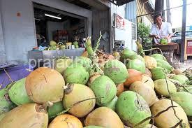 ದಕ್ಷಿಣ ಕನ್ನಡ ಉಡುಪಿಯಲ್ಲಿ ಜಿಲ್ಲೆ ಯಲ್ಲಿ   60 ರೂ. ತಲುಪಿದ ಎಳನೀರು(ಬೊಂಡ) ದರ