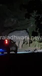 ಕಾಡಾನೆಗಳು ಚಾರ್ಮಾಡಿ ಘಾಟ್ನ ತಿರುವುಗಳಲ್ಲಿ ಕಾಣಿಸಿಕೊಳ್ಳುತ್ತಿವೆ ರಾತ್ರಿ ಸಂಚಾರ ಡೇಂಜರ್!