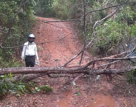 ಪುತ್ತೂರು ಸೇರಿದಂತೆ ಸುತ್ತ ಮುತ್ತಲಿನ ಪ್ರದೇಶದಲ್ಲಿ ಗಾಳಿ ಮಳೆಗೆ ಕೋಡಿಜಾಲು ಬಳಿ ಮರ, ವಿದ್ಯುತ್ ಕಂಬ ಬಿದ್ದು 10 ಮನೆಗೆ ಸಂಪರ್ಕ ರಸ್ತೆ ಕಡಿತ