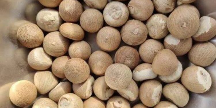 ಸಂತಸದ ಮುಖದತ್ತ ಅಡಿಕೆ ಬೆಳೆಗಾರರ ಚಿತ್ತ, ರೈತರ ಮುಖದಲ್ಲಿ ಮಂದಹಾಸ