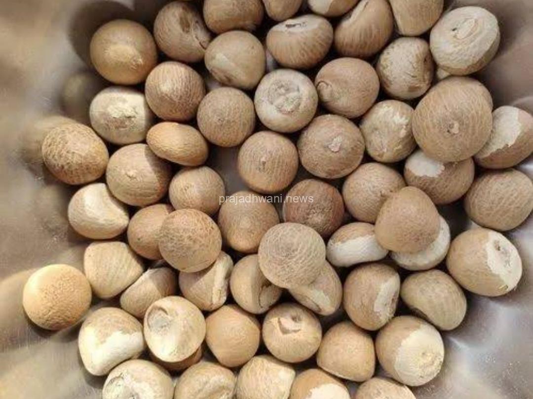 ಸಂತಸದ ಮುಖದತ್ತ ಅಡಿಕೆ ಬೆಳೆಗಾರರ ಚಿತ್ತ, ರೈತರ ಮುಖದಲ್ಲಿ ಮಂದಹಾಸ