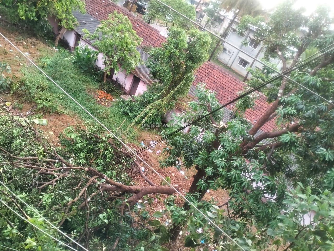 ಪುತ್ತೂರು ಗಾಳಿಮಳೆಗೆ  “ತಪ್ಪಿದ ಅನಾಹುತ”