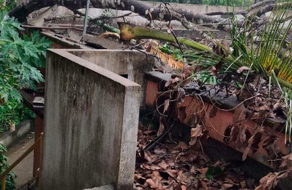 ವಿಟ್ಲ ಉಕ್ಕುಡ ಸಮೀಪ ಮನೆಗೆ ಮರ ಬಿದ್ದು ಅಪಾರ ನಷ್ಟ.