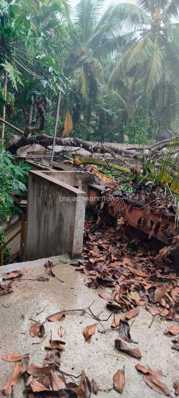 ವಿಟ್ಲ ಉಕ್ಕುಡ ಸಮೀಪ ಮನೆಗೆ ಮರ ಬಿದ್ದು ಅಪಾರ ನಷ್ಟ.