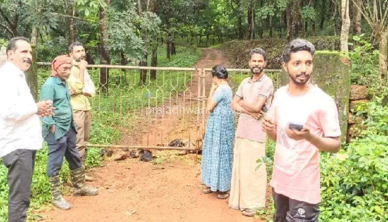 ಬೆಳ್ತಂಗಡಿ: ಜಾಗದ ತಕರಾರು 25 ಮೇಕೆಗಳ ತಲೆ ಕಡಿದು ವಾಮಾಚಾರ