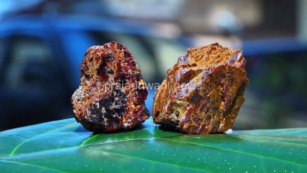 ಸಂಪಾಜೆ: ಪಶ್ಚಿಮಘಟ್ಟದ ಅರಣ್ಯದಲ್ಲಿ ಬೆಲೆಬಾಳುವ ಹರಳು ಕಲ್ಲು ದಂಧೆ, ಆರೋಪಿಗಳು ವಶ – 2495 ಕೆ.ಜಿ ಹರಳು ಕಲ್ಲು ವಶ