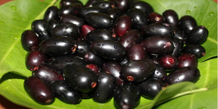 ನೇರಳೆ ಹಣ್ಣು ನೇರಳೆ ಎಲೆಗಳಿಂದಲೂ ಹಲವಾರು ಆರೋಗ್ಯ ಪ್ರಯೋಜನಗಳಿವೆ!