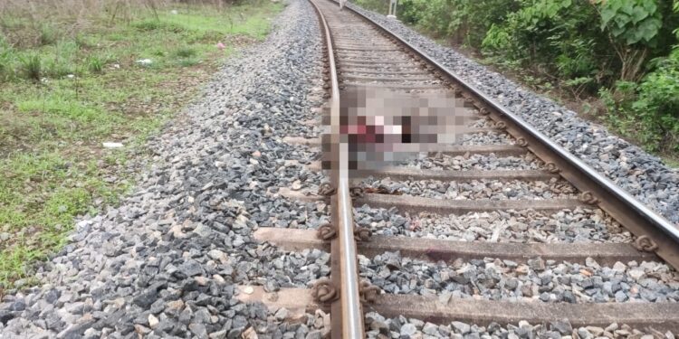 ಪುತ್ತೂರು : ಪುತ್ತೂರಿನ ಮುರದಲ್ಲಿ ರೈಲು ಡಿಕ್ಕಿ ಹೊಡೆದು ವ್ಯಕ್ತಿ ಮೃತ್ಯು.