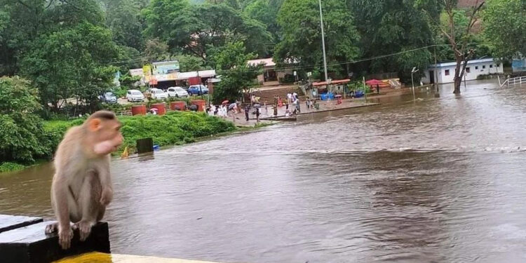 ಧಾರಾಕಾರ ಮಳೆ ಸುಬ್ರಹ್ಮಣ್ಯ ಸ್ನಾನ ಘಟ್ಟ ಮುಳುಗಡೆ,ಮಳೆ ಅಬ್ಬರಕ್ಕೆ ಇತಿಹಾಸ ಪ್ರಸಿದ್ಧ ಮಧೂರು ದೇವಸ್ಥಾನ ಜಲಾವೃತ