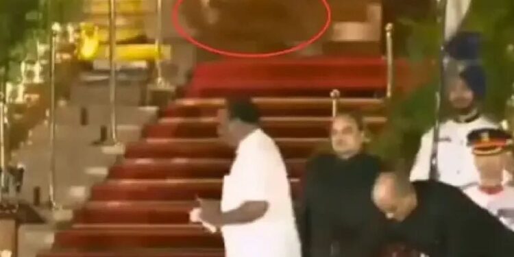 ದೆಹಲಿ : ಮೋದಿ ಪ್ರಮಾಣ ವಚನದ ವೇಳೆ ಕಾಣಿಸಿಕೊಂಡ ಚಿರತೆ ವಿಡಿಯೋ ವೈರಲ್ ದೆಹಲಿ ಪೋಲಿಸರಿಂದ ಸ್ಪಷ್ಟನೆ