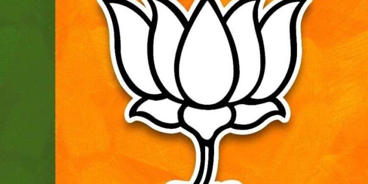 ಬಂಟ್ವಾಳ: ಬಿಜೆಪಿ ನೂತನ ಪದಾಧಿಕಾರಿಯಾಗಳ ಆಯ್ಕೆ