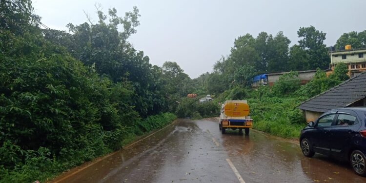 ಮುಕ್ರಂಪಾಡಿ ಯಲ್ಲಿ ರಸ್ತೆ ಗೆ ಅಡ್ಡವಾಗಿ ಮರ ಬಿದ್ದು ಸಂಚಾರ ಅಸ್ತವ್ಯಸ್ತ