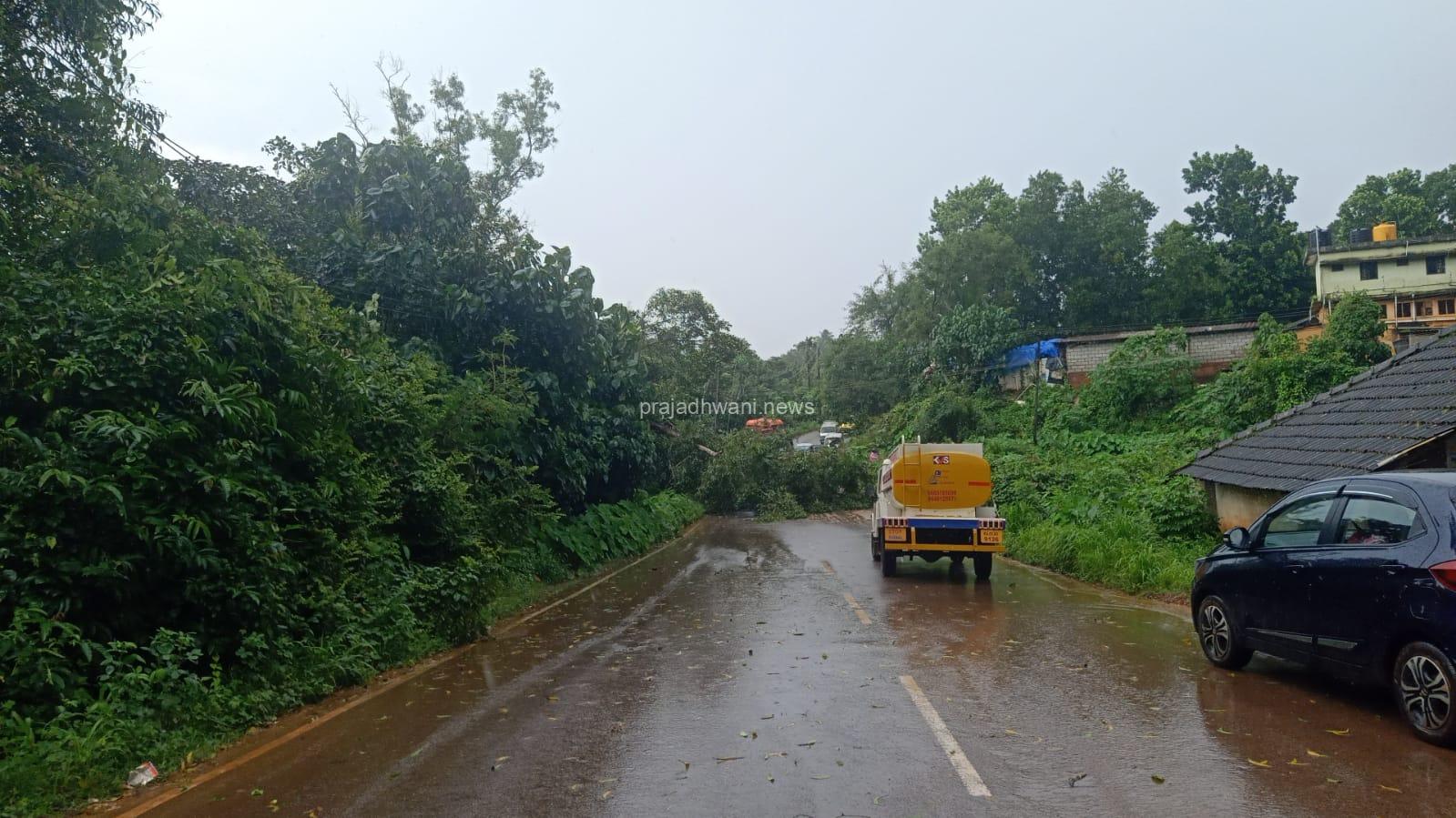 ಮುಕ್ರಂಪಾಡಿ ಯಲ್ಲಿ ರಸ್ತೆ ಗೆ ಅಡ್ಡವಾಗಿ ಮರ ಬಿದ್ದು ಸಂಚಾರ ಅಸ್ತವ್ಯಸ್ತ