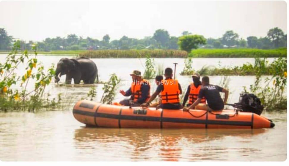 ಅಸ್ಸಾಂನಲ್ಲಿ ಭೀಕರ ಪ್ರವಾಹ – ಕಾಜಿರಂಗ ಪಾರ್ಕ್ನಲ್ಲಿ 131 ವನ್ಯಜೀವಿಗಳು ಸಾವು.