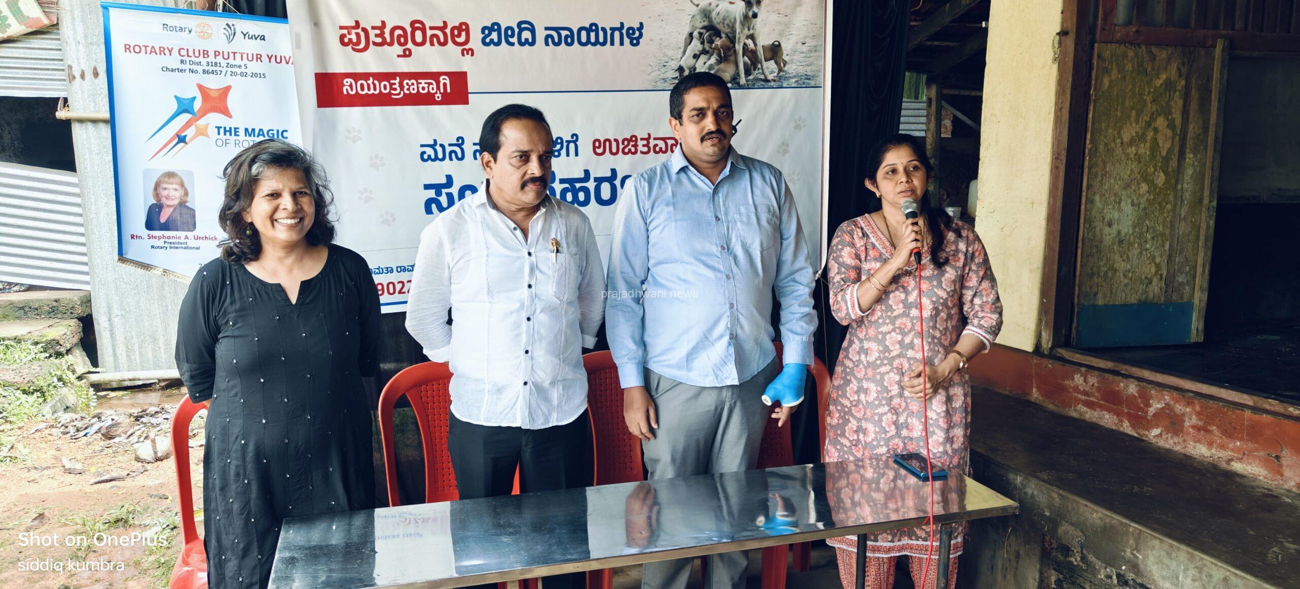 ರೋಟರಿಸಂಸ್ಥೆಯ ವತಿಯಿಂದ ಬೀದಿ ನಾಯಿಗಳಿಗೆ ಸಂತಾನಹರಣ ಚಿಕಿತ್ಸೆ