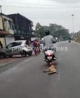 ಉಡುಪಿ: ದ್ವಿಚಕ್ರ ವಾಹನಕ್ಕೆ ನಾಯಿ ಕಟ್ಟಿ ಎಳೆದೊಯ್ದ ವ್ಯಕ್ತಿ