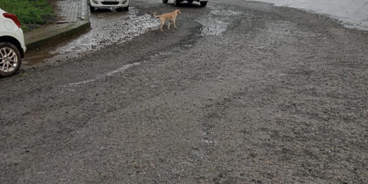 ಪುತ್ತೂರು: ನಗರೋತ್ಥಾನದ ಅಪೂರ್ಣ ರಸ್ತೆ ಕಾಮಗಾರಿ – ವಾಹನ ಸವಾರರಿಗೆ ಸಂಕಷ್ಟ