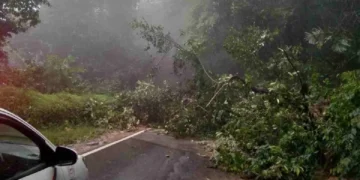 ಗುಡ್ಡ ಕುಸಿತ ಹಲವೆಡೆ ಮಳೆಯ ಅಬ್ಬರ; ಚಾರ್ಮಾಡಿ ಘಾಟ್ ರಸ್ತೆ ಸಂಚಾರ ಬಂದ್