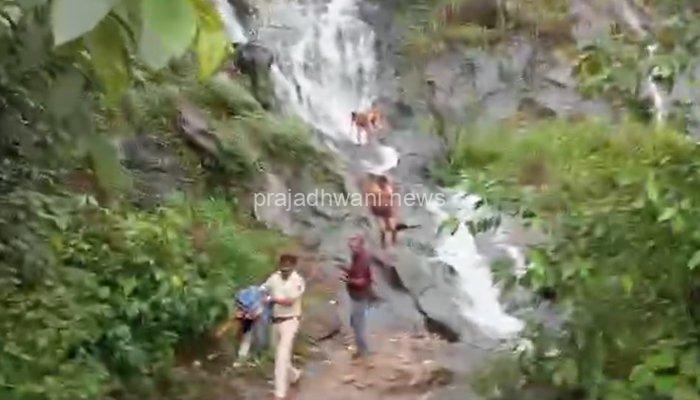 ಚಾರ್ಮಾಡಿ : ಪೋಲಿಸ್ ವಾರ್ನಿಂಗ್ ಲೆಕ್ಕಿಸದೆ ಜಲಪಾತಕ್ಕಿಲಿದ ಯುವಕರು, ಬಟ್ಟೆ ಹೊತ್ತೊಯ್ಯದ ಪೊಲೀಸರು. ಬಟ್ಟೆಯಿಲ್ಲದೇ ಯುವಕರು ಕಂಗಾಲು