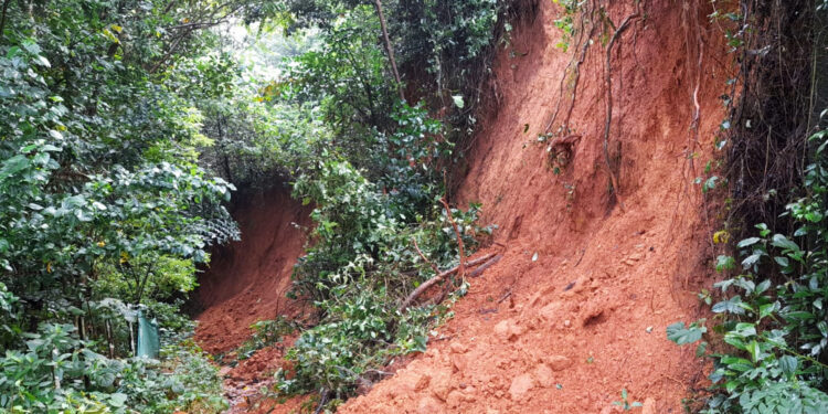 ಪುತ್ತೂರು: ಚಿಕ್ಕಮುಡ್ನೂರು ಏಕ – ಕಾಯರ್ತಡಿ ರಸ್ತೆಗೆ ದರೆ ಕುಸಿತ.