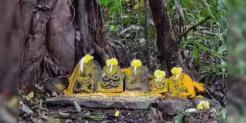 ನಾಗಾರಾಧನೆ ಮೊದಲ‌ ಹಬ್ಬ ನಾಗರ ಪಂಚಮೀ :ಸಂತಾನ, ಸುಖ, ಸಂಪತ್ತಿಗೆ ಮೂಲ ನಾಗದೇವರು