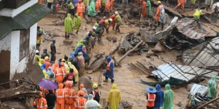 ವಯನಾಡು ದುರ್ಘಟನೆ: ಮೃತಪಟ್ಟವರಲ್ಲಿ ಕರ್ನಾಟಕದ 8 ಜನರ ಶವ ಪತ್ತೆ