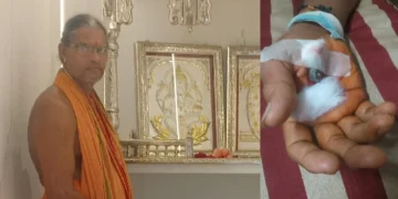 ಹೆಬ್ಬಾವಿನ ಮರಿ ಎಂದು ವಿಷದ ಹಾವಿನ ಮರಿ ಬರಿಗೈಯಲ್ಲಿ ಹಿಡಿದ ವ್ಯಕ್ತಿ ಮೃತ