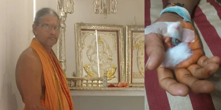 ಹೆಬ್ಬಾವಿನ ಮರಿ ಎಂದು ವಿಷದ ಹಾವಿನ ಮರಿ ಬರಿಗೈಯಲ್ಲಿ ಹಿಡಿದ ವ್ಯಕ್ತಿ ಮೃತ