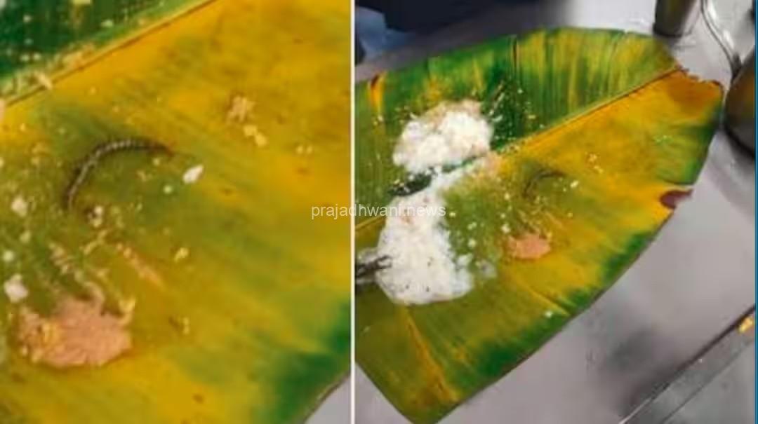 ಲಡ್ಡು ಅವಾಂತರದ ನಂತರ ತಿರುಪತಿ ಊಟದಲ್ಲಿ ಸಹಸ್ರಪದಿ ಪತ್ತೆ: ಭಕ್ತನ ಆರೋಪ ನಿರಾಕರಿಸಿದ ದೇಗುಲ