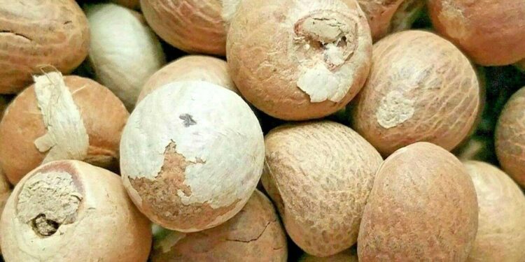 ಅಡಿಕೆ ಬೆಲೆ 500 ರೂ ಜಿಗಿತಾ ಮಾರುಕಟ್ಟೆ ಯಲ್ಲಿ ಇನ್ನಷ್ಟು ಏರಿಕೆಯ ನಿರೀಕ್ಷೆ