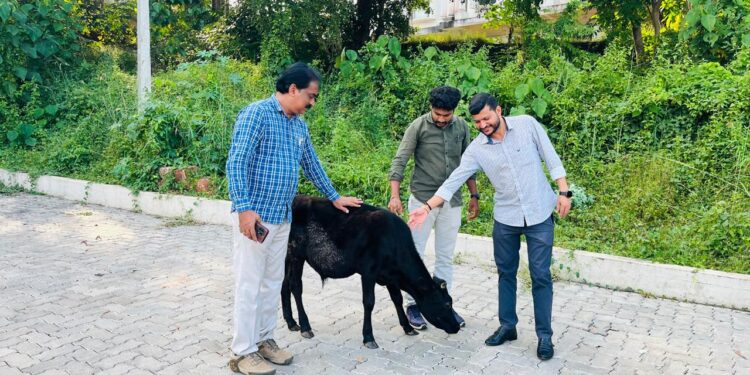 ಶಾಸಕರ ಮನವಿಗೆ ತಕ್ಷಣ ಸ್ಪಂದಿಸಿದ ಪುತ್ತೂರು ಪಶುಇಲಾಖೆ
