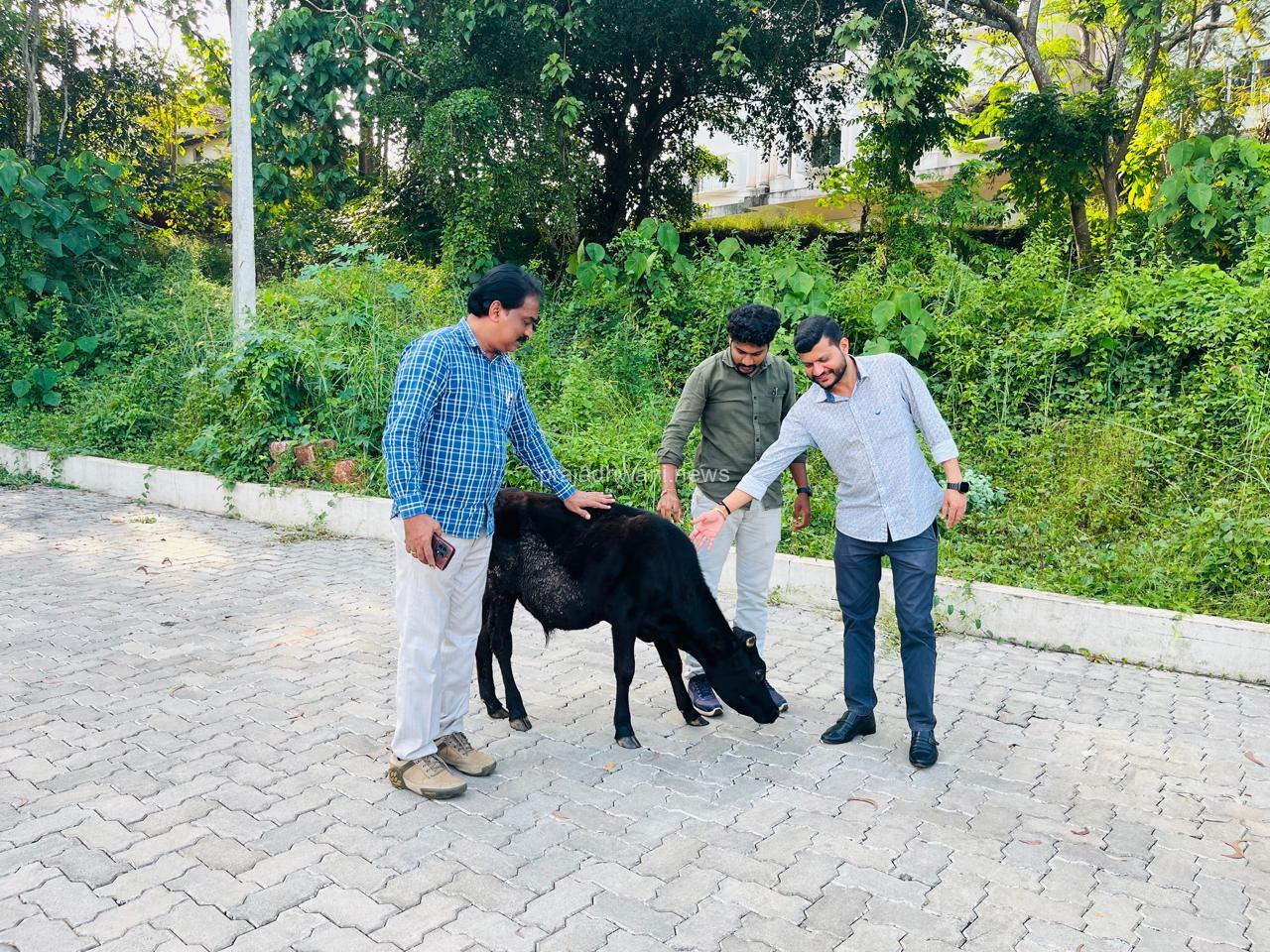 ಶಾಸಕರ ಮನವಿಗೆ ತಕ್ಷಣ ಸ್ಪಂದಿಸಿದ ಪುತ್ತೂರು ಪಶುಇಲಾಖೆ