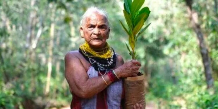 ಪದ್ಮಶ್ರೀ ಪ್ರಶಸ್ತಿ ಪುರಸ್ಕೃತ ಪರಿಸರ ಪ್ರೇಮಿ ‘ತುಳಸಿಗೌಡ’ ವಿಧಿವಶ