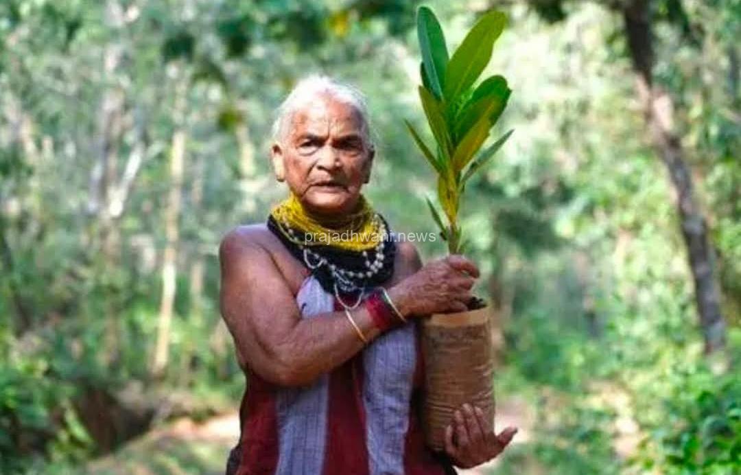 ಪದ್ಮಶ್ರೀ ಪ್ರಶಸ್ತಿ ಪುರಸ್ಕೃತ ಪರಿಸರ ಪ್ರೇಮಿ ‘ತುಳಸಿಗೌಡ’ ವಿಧಿವಶ