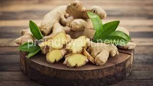 ಶುಂಠಿಗೆ ಹೆಚ್ಚುತ್ತಿರುವ ಬೇಡಿಕೆ ; ಚಳಿಗಾಲ ಬಂದಿದೆ, ಶುಂಠಿಗೆ ಬೇಡಿಕೆಯೂ ಹೆಚ್ಚಿದೆ