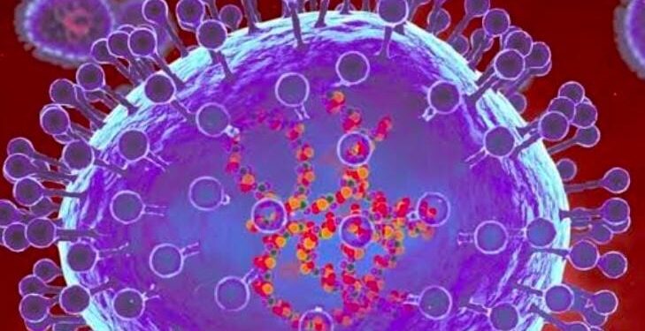 ಕರ್ನಾಟಕದಲ್ಲಿ ಮತ್ತೊಂದು `HMPV’ ಸೋಂಕು ದೃಢ : ಎರಡಕ್ಕೇರಿದ ಸೋಂಕಿತರ ಸಂಖ್ಯೆ