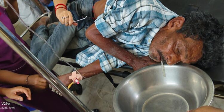 ಪುತ್ತೂರು: ಹೆಜ್ಜೇನು ದಾಳಿಗೆ ತತ್ತರ – 15ಕ್ಕೂ ಹೆಚ್ಚು ಮಂದಿಗೆ ಗಾಯ