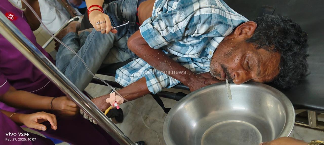 ಪುತ್ತೂರು: ಹೆಜ್ಜೇನು ದಾಳಿಗೆ ತತ್ತರ – 15ಕ್ಕೂ ಹೆಚ್ಚು ಮಂದಿಗೆ ಗಾಯ