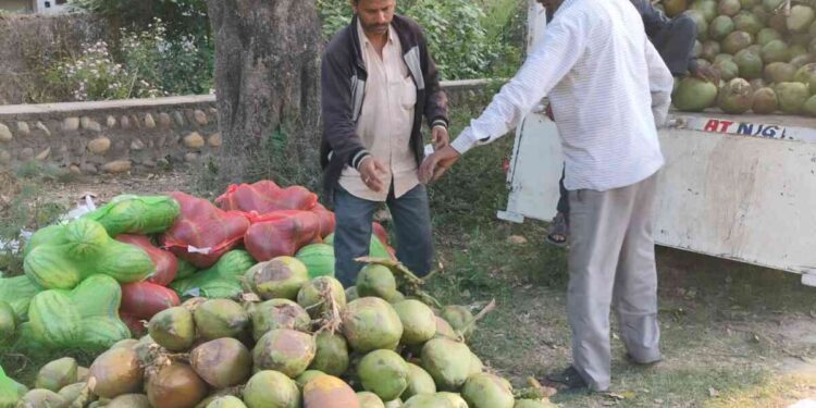 ಏರುತ್ತಿರುವ ತಾಪಮಾನದಿಂದಾಗಿ ಎಳನೀರು ಬೆಲೆ ಗಗನಮುಖಿ: ಈ ಬೇಸಿಗೆಯಲ್ಲಿ 70 ರೂ ದಾಟಬಹುದು!