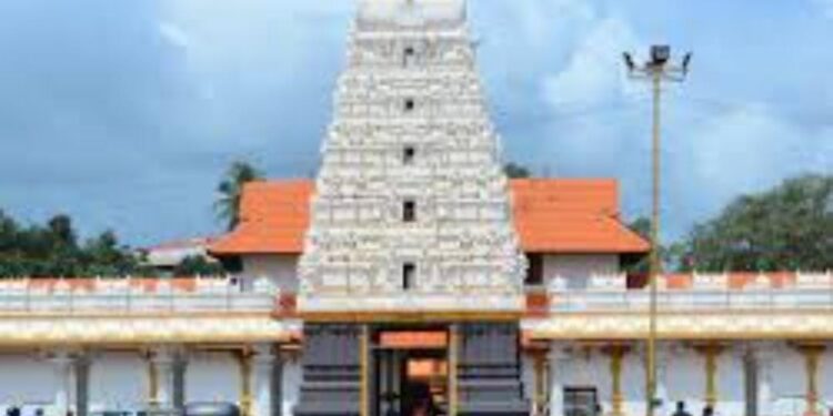 ಪುತ್ತೂರು ಶ್ರೀ ಮಹಾಲಿಂಗೇಶರ ದೇವರ ಜಾತ್ರೋತ್ಸವ ಹಿನ್ನೆಲೆ ಡ್ರೋಣ್ ನಿರ್ಬಂಧ! ಮುಖ್ಯರಸ್ತೆಗೆ ದೀಪಾಲಂಕಾರ, ಬಸ್ ವ್ಯವಸ್ಥೆ, ಹಿಂದಿನಂತೆ ಅನ್ಯಮತೀಯರಿಗೆ ವ್ಯಾಪಾರಕ್ಕೆ ಅವಕಾಶ ಇಲ್ಲ