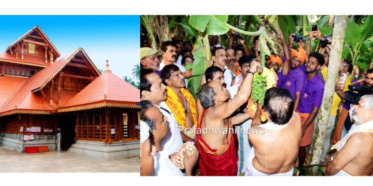 ಪುತ್ತೂರು: ಮಹಾತೋಭಾರ ಶ್ರೀ ಮಹಾಲಿಂಗೇಶ್ವರ ದೇವರ ಜಾತ್ರೋತ್ಸವಕ್ಕೆ ಗೊನೆ ಮುಹೂರ್ತ