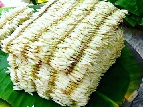 ನಾಳೆ ಎ.16ರಂದು : ಬಲ್ನಾಡು ಶ್ರೀ ದಂಡನಾಯಕ ಉಳ್ಳಾಲ್ತಿ ದೈವಸ್ಥಾನದಲ್ಲಿ ಬೆಳಿಗ್ಗೆಯಿಂದಲೇ ಮಲ್ಲಿಗೆ, ಹರಕೆ ಅರ್ಪಿಸಲು ಅವಕಾಶ