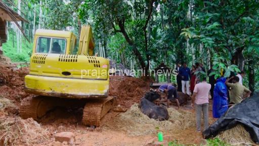 ಕೋಡಿಂಬಾಡಿ: ಶಾಸಕ ಅಶೋಕ್ ಕುಮಾರ್ ರೈಯವರ ಮನೆಯ ಹಟ್ಟಿ ಸಂಪೂರ್ಣ ಹಾನಿ, ದನ ಸಾವು