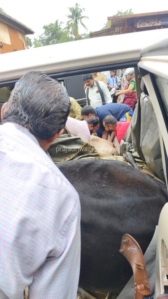 ಗುರುವಾಯನಕೆರೆಯಲ್ಲಿ ಅಕ್ರಮ ದನ ಸಾಗಟ, ಪತ್ತೆ ಹಚ್ಚಿ ಪೊಲೀಸರಿಗೆ ಒಪ್ಪಿಸಿದ ಹಿಂದೂ ಕಾರ್ಯಕರ್ತರು