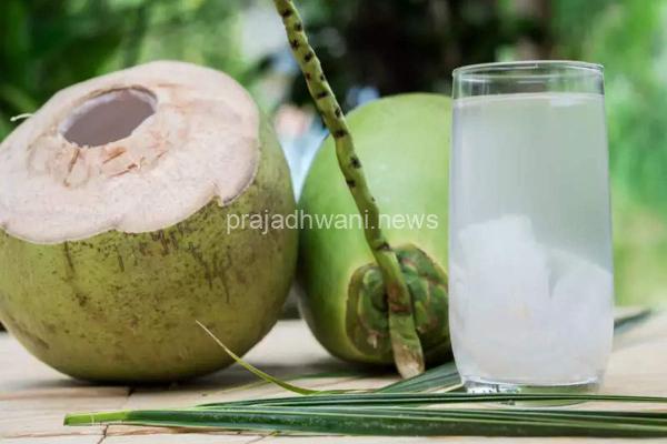 “ನೈಸರ್ಗಿಕ ಶಕ್ತಿದಾಯಕ ಪಾನೀಯ” ಎಳನೀರು ಕುಡಿಯಿರಿ ಮಾನವನ ದೇಹಕ್ಕೆ ಬಹಳ ಒಳ್ಳೆಯದು