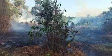 ಚಿಕ್ಕ ಮುಡ್ನೂರು  ಏಕ ಬಳಕ್ಕ ಪರಿಸರದಲ್ಲಿ  ಶಾರ್ಟ್ ಸರ್ಕ್ಯೂಟ್  ಆಗಿ ಬೆಂಕಿ ಅವಘಡ.